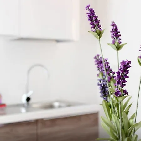 Lavanda