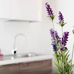 Lavanda