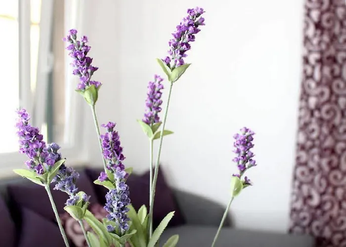 شقة Lavanda *