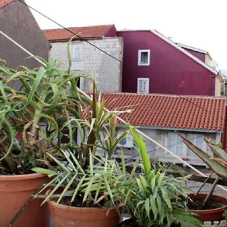 Lavanda * Σπλιτ