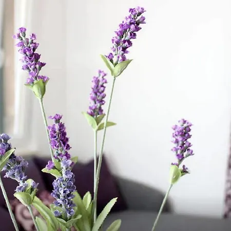 Διαμέρισμα Lavanda *